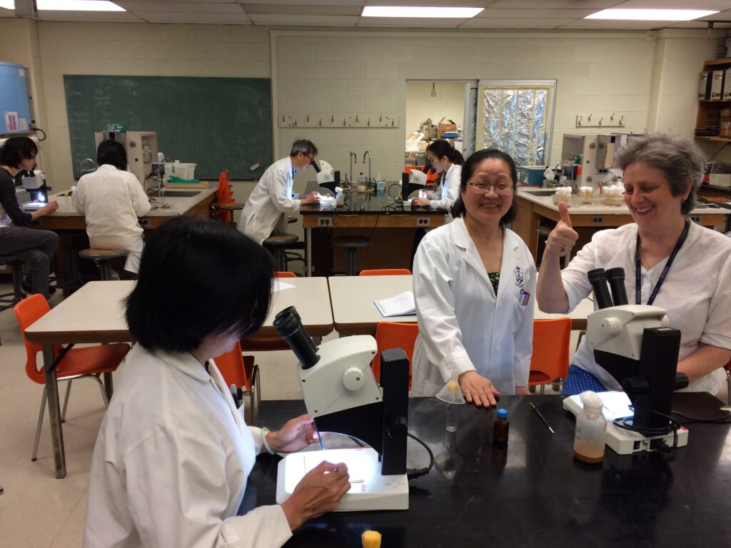 Lab technicians doing fly sorting